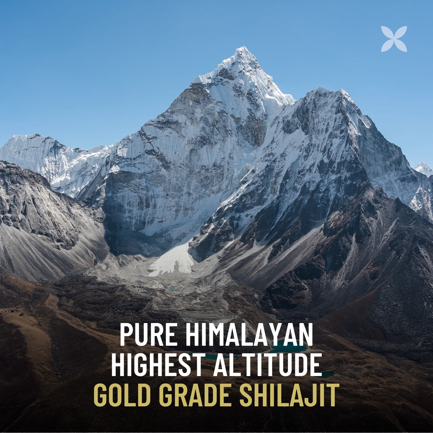 Extractive Pure Activated Nepalese Shilajit - 25g - Image 2