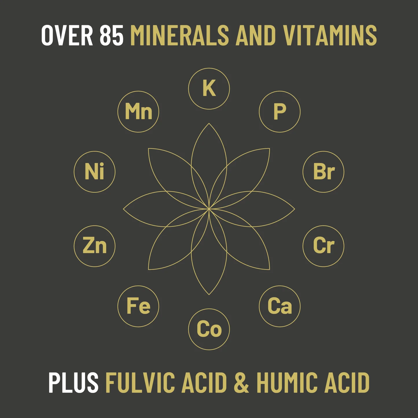 Extractive Pure Activated Nepalese Shilajit - 25g - Image 3